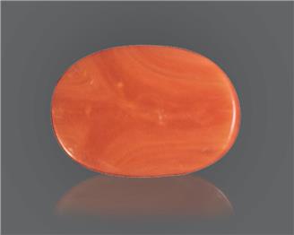 Red Coral Natural Certified 15.47 RTS ( 8138 )